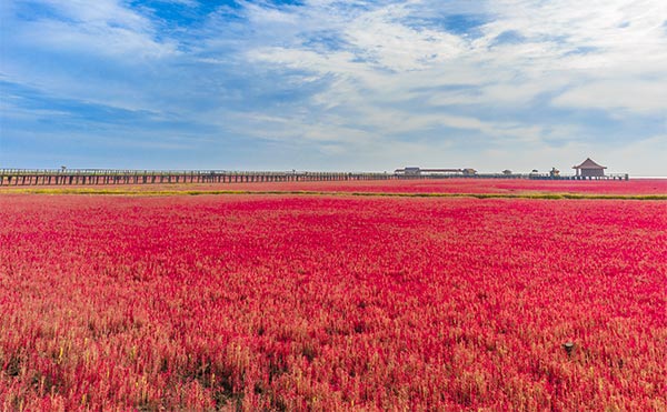 紅海灘國家風景廊道