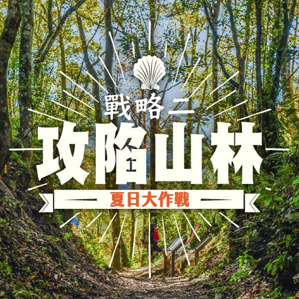攻陷山林